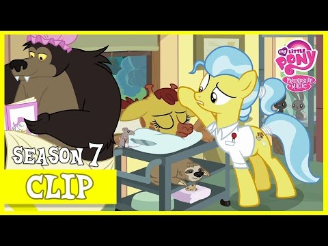 Fluttershy Visits Dr. Fauna (Fluttershy Leans In) | MLP: FiM [HD] - UC1AEadAUKi6Zt-G3PatrU-Q