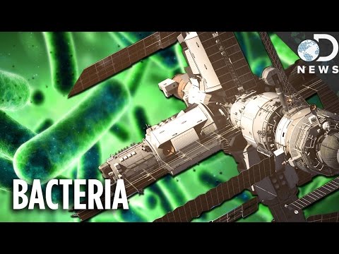 You Don’t Even Want To Know About Bacteria On The Space Station - UCzWQYUVCpZqtN93H8RR44Qw
