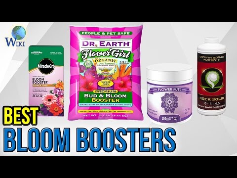 10 Best Bloom Boosters 2017 - UCXAHpX2xDhmjqtA-ANgsGmw