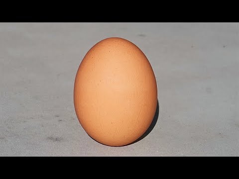 8 Egg Gadgets put to the Test - Part 6 - UCe_vXdMrHHseZ_esYUskSBw