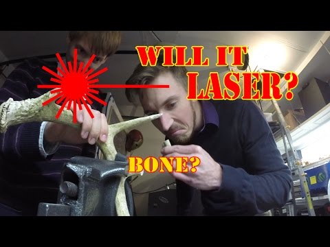 WILL IT LASER: Bone?!? - UCjgpFI5dU-D1-kh9H1muoxQ