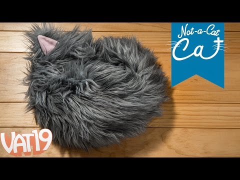 The Not-a-Cat Cat: The World's First Cat that Isn't - UCDRbNGFusqlXX4a5vwi9ouQ