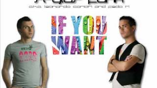 STYLUS FUNK - IF YOU WANT (Leonardo Carioti e Fedo Ti Original Mix)