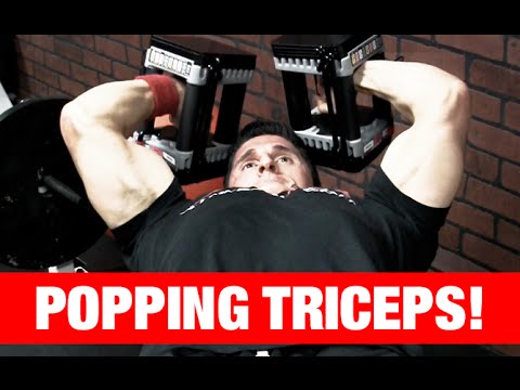 Elbow Pain with Tricep Exercises (SNAP OR POP!) - UCe0TLA0EsQbE-MjuHXevj2A