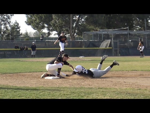 Lmc Baseball – The Best Place to Play Ball