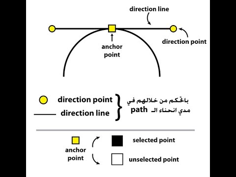 10 01 pen tool اساسيات هامة جدا