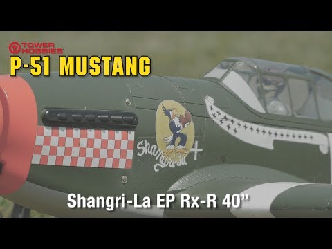 Tower Hobbies P-51B Mustang Shangri-La EP Rx-R - UCa9C6n0jPnndOL9IXJya_oQ