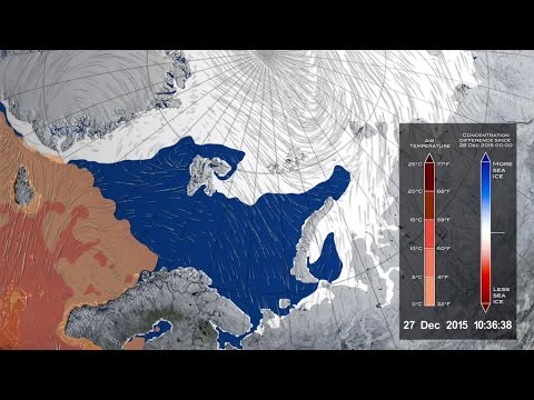 Warm Winter Cyclone Damaged Arctic Sea Ice Pack - UCAY-SMFNfynqz1bdoaV8BeQ