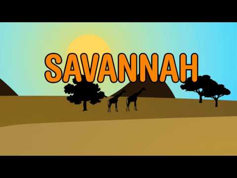 Diviners - Savannah (feat. Philly K) [LYRICS VIDEO] - UCgyvbgyRw1pVKOcOIxvB6qA