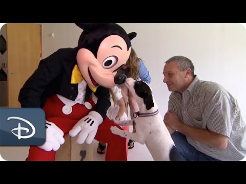 Mickey Meets Lily, the Dog With a Mickey Mouse Spot | Disney Parks - UC1xwwLwm6WSMbUn_Tp597hQ