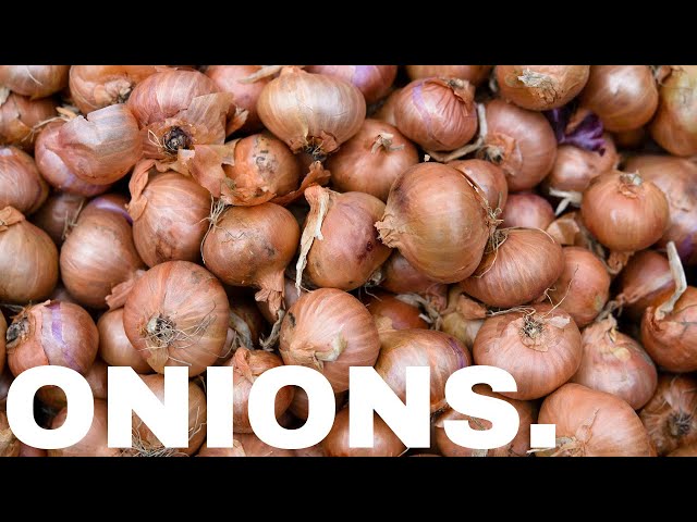 Onions Basketball: A Brief History