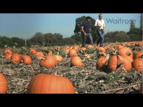 Dhruv Baker meets a pumpkin farmer - UCFNJOpACpCFRH_Fm_66L3iw