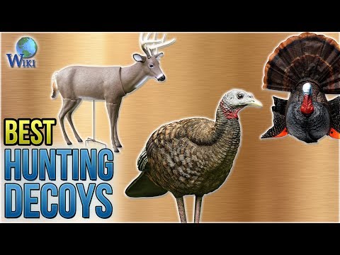 10 Best Hunting Decoys 2018 - UCXAHpX2xDhmjqtA-ANgsGmw