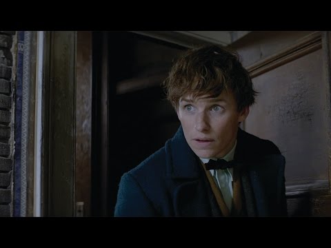 Fantastic Beasts and Where to Find Them - IMAX Fan Event Featurette [HD] - UCjmJDM5pRKbUlVIzDYYWb6g