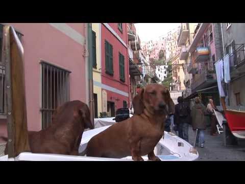 Cinque Terre, Manarola, Italy - UCvW8JzztV3k3W8tohjSNRlw