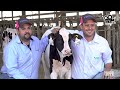 Fazenda Sekita Agronegócios: Inovação, Genética e Sustentabilidade na Pecuária Leiteira/TVHolstein