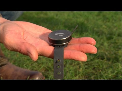 Tech Minute - Pet Tech - UCOmcA3f_RrH6b9NmcNa4tdg