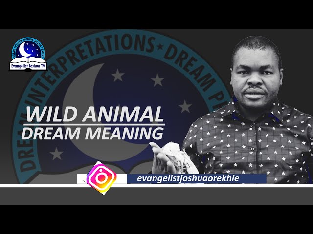 What Does It Mean To Dream About Animal Symbols