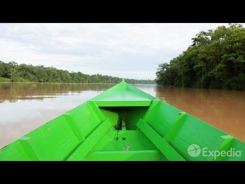 Kinabatangan - City Video Guide - UCGaOvAFinZ7BCN_FDmw74fQ