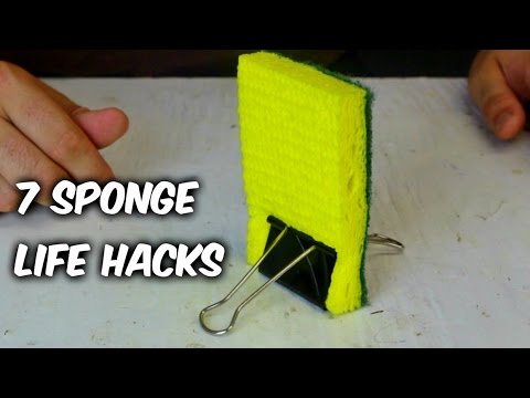 7 Sponge Life Hacks - UCe_vXdMrHHseZ_esYUskSBw