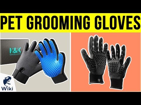 7 Best Pet Grooming Gloves 2019 - UCXAHpX2xDhmjqtA-ANgsGmw