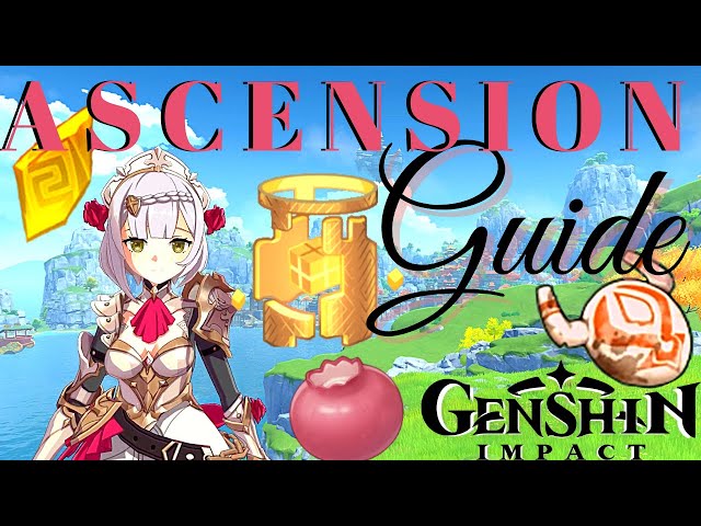 Genshin Impact Noelle Guide: Ascension Materials - Weapons - Artifacts