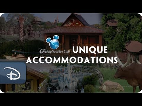 5 Unique Disney Vacation Club Accommodation Options - UC1xwwLwm6WSMbUn_Tp597hQ