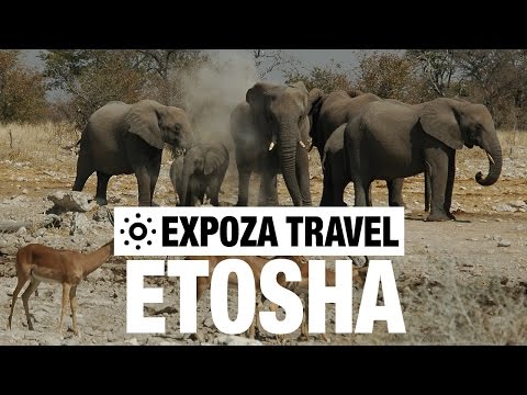 Etosha Vacation Travel Video Guide - UC3o_gaqvLoPSRVMc2GmkDrg