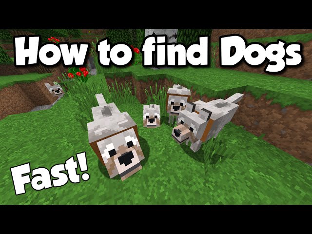 how-to-find-dogs-in-minecraft-fast-easily-step-by-step-guide-g15tools