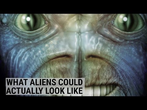 What scientists think aliens could look like - UCcyq283he07B7_KUX07mmtA