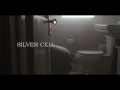 Silver Cell (2011)