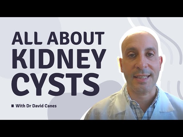 What Size Kidney Cyst Is Considered Large StuffSure
