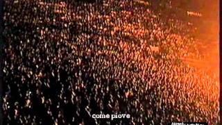 Zucchero - Pane e sale (Live 1995)
