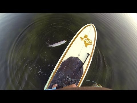 GoPro: SUP Fly Fishing - UCqhnX4jA0A5paNd1v-zEysw