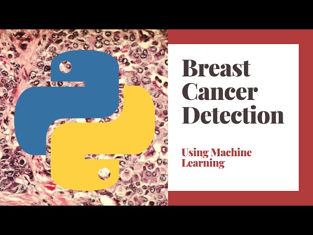 Breast Cancer and Machine Learning: What You Need to Know