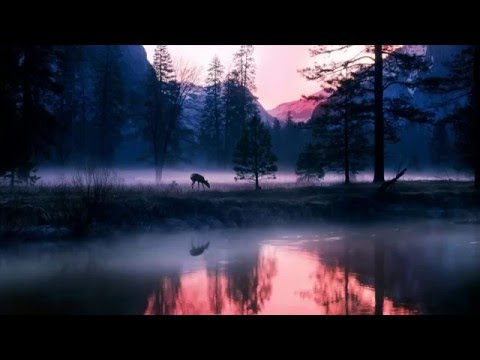 'Morning Mist' Wonderful Melodic Dubstep Mix 2013 (►Mix #23◄) - UCd24KR51l3JzGZh7GoW0OEg