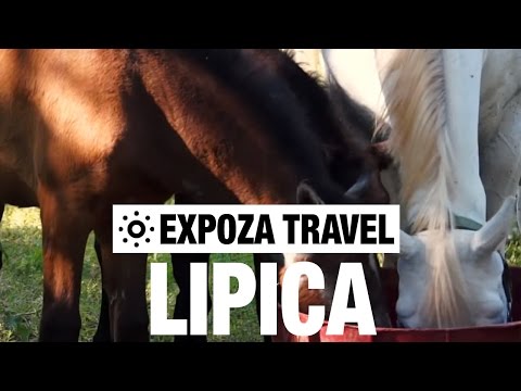 Lipica (Slovenia) Vacation Travel Video Guide - UC3o_gaqvLoPSRVMc2GmkDrg