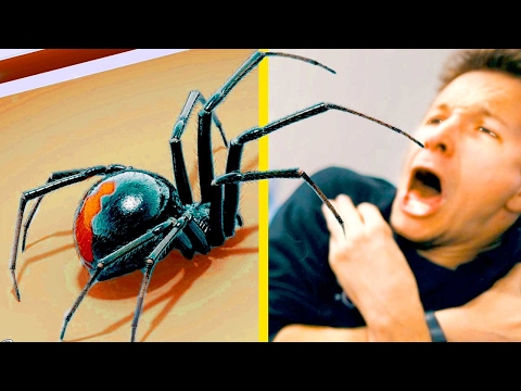 Conquer Your Fear of Spiders - UCSpFnDQr88xCZ80N-X7t0nQ