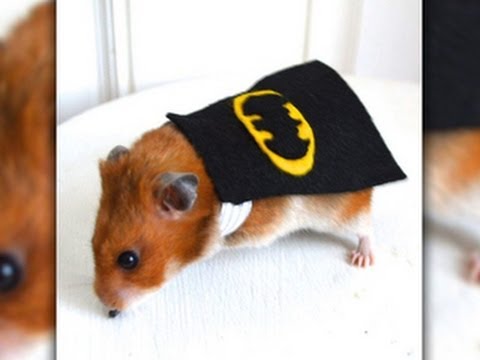 Crave - Superhero gerbils, the best kind, Ep. 143 - UCOmcA3f_RrH6b9NmcNa4tdg