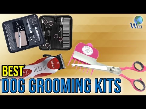 10 Best Dog Grooming Kits 2017 - UCXAHpX2xDhmjqtA-ANgsGmw