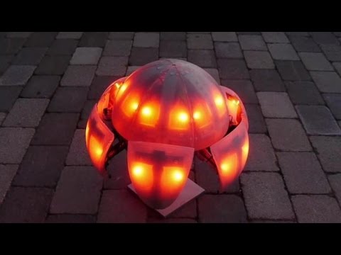 Tomorrow Daily - 029: A morphing toy robot, the Polaris Slingshot, GIF street art, and more - UCOmcA3f_RrH6b9NmcNa4tdg