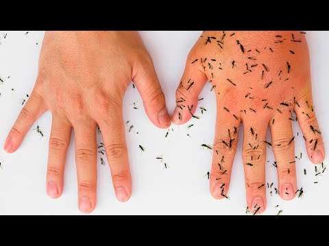 8 All-Natural Ways to Keep Mosquitoes Away - UC4rlAVgAK0SGk-yTfe48Qpw