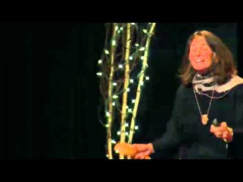 Comics, medicine and memory | Dana Walrath | TEDxBattenkill - UCsT0YIqwnpJCM-mx7-gSA4Q