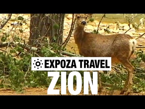 Zion (USA) Vacation Travel Video Guide - UC3o_gaqvLoPSRVMc2GmkDrg