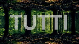 Tutti (edit) - from the album 'TUTTI' by Cosey Fanni Tutti