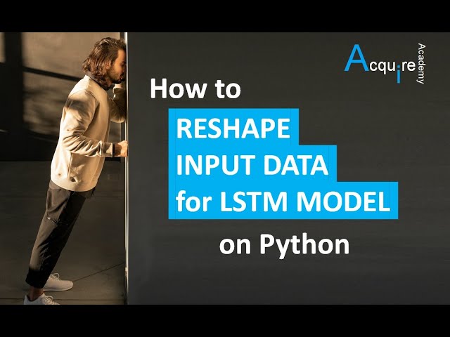 How to Reshape Your Pytorch LSTM Input
