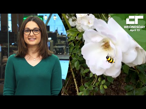 Snapchat's 3D Stickers | Crunch Report - UCCjyq_K1Xwfg8Lndy7lKMpA
