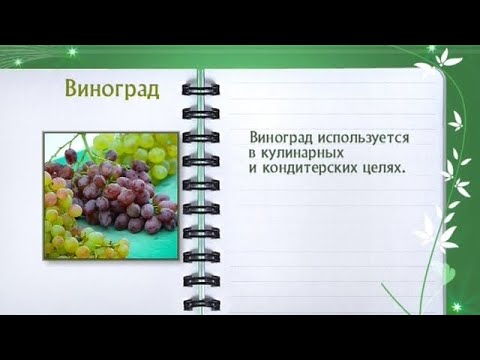 Кулинарная энциклопедия - Виноград - UC7XBjhXnmmXFsxmnys9PmDQ