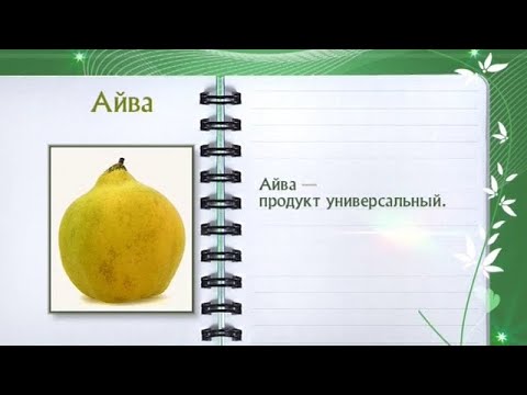 Кулинарная энциклопедия - Айва - UC7XBjhXnmmXFsxmnys9PmDQ