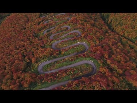 A 69 switchback Japanese downhill longboard race. | Red Bull Side Winders - UCblfuW_4rakIf2h6aqANefA